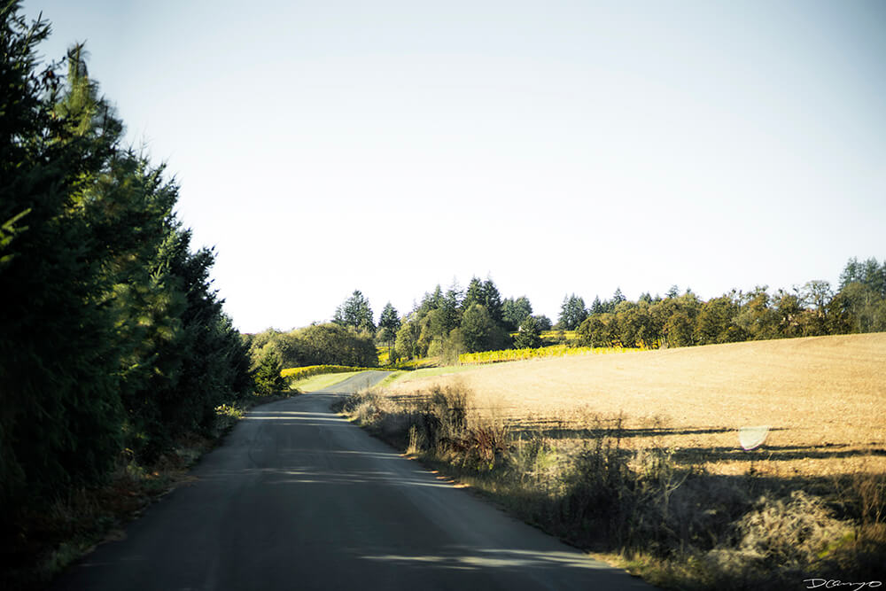 Photos with Communique Wines in McMinville, Oregon, in the Fall of 2020.